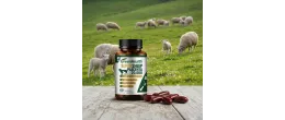 New Zealand Sheep Placenta Daily Wellness Supplement